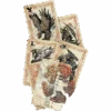 juego monos
