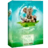 Ark nova Ark nova
